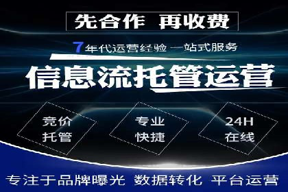 成功案例：sem竞价托管的智慧与策略